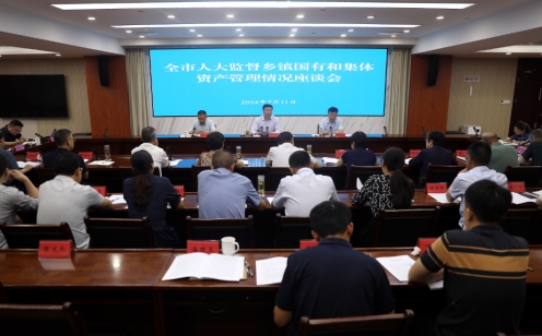 全市人大監(jiān)督鄉(xiāng)鎮(zhèn)國有和集體資產(chǎn)管理情況座談會召開